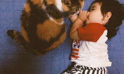 人生中的第一個好朋友！雙倍治癒的小萌妹與三毛貓的每日生活日記 instagram、貓、貓咪、萌、女孩