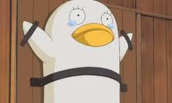 三麗鷗是多元成家支持者？卡通明星種族追、追、追 卡通、三麗鷗、凱蒂貓、布丁狗、皮卡丘