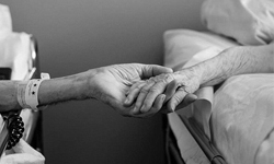 62年婚姻的終點 老夫妻一起與這世界告別的過程賺人熱淚 夢裡、Don、Maxine、愛情、夫妻、婚姻、死亡、私話題