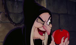 好一顆毒辣婦女心！婦與狗嘿咻被撞見竟... 新墨西哥州、恐怖、下毒、撞見、人獸交、驚悚、漂白水、鬼門關、逮捕