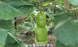 不只放在心裡更要吃在嘴裡？超嚇人毛澤東葫蘆模具 毛澤東、耶穌、聖誕老人、佛像、創意、梨子、模具、酷、嚇人、推銷、新奇、中國、商人、厲害