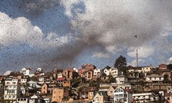 藍天瞬間變黑夜！馬達加斯加十億蝗蟲大軍壓境宛如沙塵暴 蝗蟲、蝗災、蝗禍、馬達加斯加、蝗蟲大遷徙、農產損失、疾病、飢餓