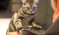 路痴以前沒Google Maps該怎麼辦？現代vs.以前超級比一比 網路、智慧型手機、網路、購物、方便