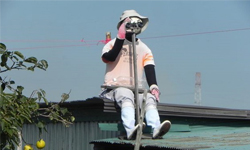 這些叔叔阿姨全都不是人...日本超擬真稻草人聚落 Borderless Art Museum NO-MA、Nobuou Onishi、烏鴉、稻草人、日本滋賀縣