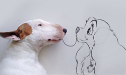 賤狗大變身！藝術家主人和狗狗玩耍的日常小遊戲 賤狗、牛頭梗、 Rafael Mantesso、 Jimmy Choo、巴西