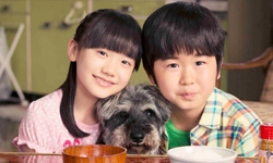  鈴木福和蘆田愛菜升四年級囉！《寶貝的生活守則》2014特別版 鈴木福、蘆田愛菜、 寶貝的生活守則、 maru maru mori mori、富士電視台