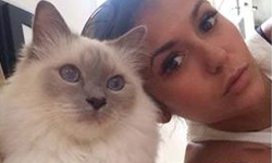 一日貓奴、終身貓奴！7位甘願做貓奴的歐美女星 貓奴、泰勒絲、Taylor Swift、妮娜杜波夫、Nina Dobrev、麗婭米雪兒、Lea Michele、凱蒂佩芮、Katy Perry、寇特妮卡達夏、Kourtney Kardashian、瑞塔歐拉、Rita Ora、貝拉索恩、Bella Thorne