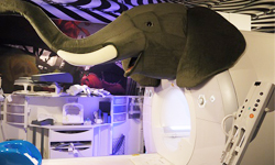 地圖像藏寶圖！東京江戶川醫院佈置超童話 東京、童話、江戶川、醫院、溫馨、佈置、魔幻、動物園