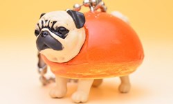 小短腿比奶油內餡還甜！狗狗麵包第5彈融化你心 食玩、狗狗麵包、いぬばん、扭蛋、吊飾