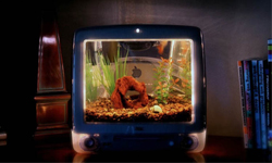 魚兒魚兒電腦中游！舊iMac變身夢幻魚缸大改造 蘋果電腦、舊電腦、改造、手作iMacAquarium、Jake Harms、麥金塔、電腦、Apple、G3、iMac