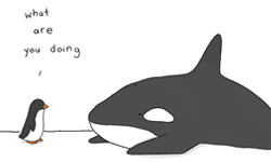 誰絕對不會再被邀請去派對？Liz Climo筆下超治癒的動物互動大集合 萌、動物、插畫、漫畫、Liz Climo、傻、互動、組合、有趣、可愛、傻、童趣