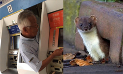 日本的神奇穿牆票務人員 一秒到達替你解決問題！ 日本、地鐵、台鐵、Departure