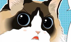 如果喵星人會說話？手機漫畫《我的社長大人》 手機漫畫、Comico、River、我的社長大人、貓