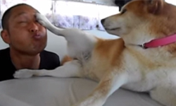 狗大人永遠是對的！7個瞬間證明人類是狗狗最忠實的奴僕 可愛、狗狗、主人、奴僕、哄