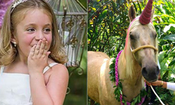 獨角獸從童話中走出來！6歲白血病女童的心願實現 Addison、DanielleBulloch、森林、白血病、女孩