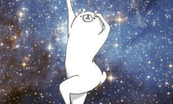 金星仙子的姿勢有我美嗎？你會愛上日本蠢萌熊智人的4個原因 クマ・サピエンス、Kuma Sapiens、熊、長腿、有事