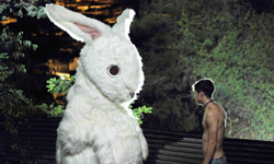 跟著兔子一起冒險去！6部令人難忘的奇幻兔子電影片單 兔子、奇幻、電影、片單、愛麗絲夢遊仙境