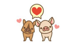 多謝照顧！超萌《養豬場》豬隻貼圖閃亮登場 養豬場、豬、貼圖、LINE、養成遊戲