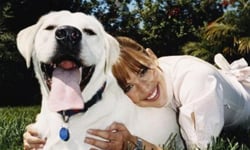 把寵物取叫偶像的名字真的好嗎？明星寵物命名大有學問 寵物、命名、泰勒絲、瑞絲薇絲朋、潔西卡艾芭