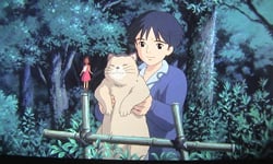 不當主角也同樣搶戲！吉卜力電影中可愛的跑龍套角色 配角、吉卜力、宮崎駿、電影、角色