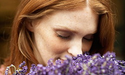 割草的味道讓你更快樂！讓人生更美好的11種香氣 味道、香氣、情緒、心情、改善