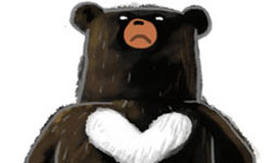 白色愛心是台灣黑熊象徵？泰國繪師筆下的萌黑熊系列貼圖 台灣黑熊、黑熊、LINE 貼圖、泰國、插畫