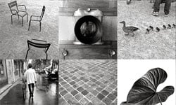 9/29限時免費App特輯：玩樂、運動、工作通通一把抓！ 限免、免費、特價、iPhone、App