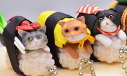 點壽司還送你一隻貓？逗趣貓壽司新鮮上桌 壽司、貓、迴轉壽司、Kitan Club、玩具