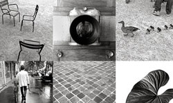 拍出物質的紋理 黑白攝影App《Lenka》 攝影、黑白攝影、Lenka、App、iOS