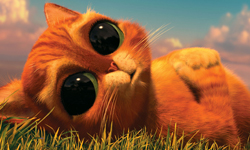 10月7日 電視看甚麼：怎麼辦！鞋貓劍客好萌又好殺 電視、節目表、電視節目表、電影、HBO、2014