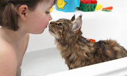 小萌妹的醫生不是人？自閉症女孩勇敢走出封閉世界 Thula、自閉症、女孩、Iris Grace Halmshaw、自閉症