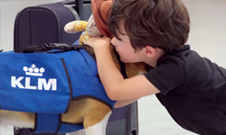 米格魯出任務！機場遺失物由狗狗親自還給你 神探、機場、飛機、航空、遺失物