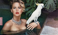 脫光光不一定色情！8位女星絕美裸體封面照 Jennifer Lawrence、裸體、封面、雜誌、歐美