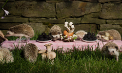 12隻超萌刺蝟的餐桌冒險！名畫《最後的晚餐》動物版 Claire Rosen、最後的晚餐、攝影、刺蝟、大象