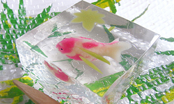 雙眼和味覺都一起幸福起來！4種在日本旅行不能錯過的和菓子 和菓子、千菓子、甜點、甜食、日本