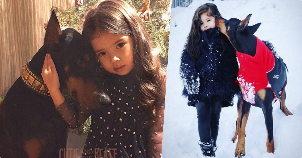 長大前我先代替王子保護你吧！混血小公主和她的帥氣杜賓保鑣 混血兒、寶寶、杜賓、汪星人、狗