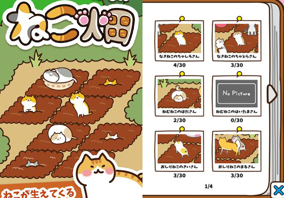 喵星人也能「種」出來？！讓貓奴失心瘋的療癒App《貓咪田》 ねこ畑、貓咪田、日本、手機遊戲、養成