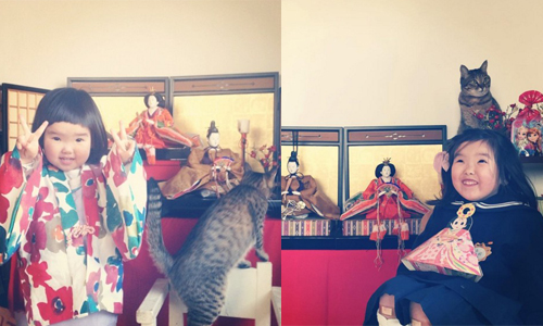 最喜歡有你陪伴的日子！4孩2貓的可愛成長日記 Makicocomo、貓、孩子、成長、家庭