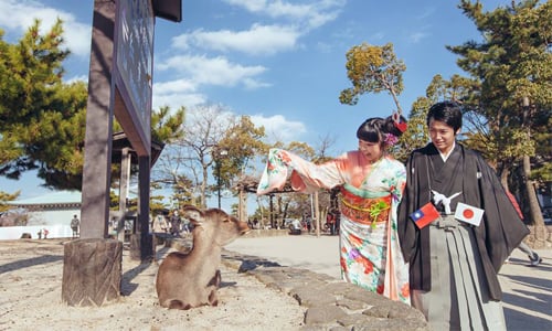 你曾經幻想過要嫁到日本嗎？讓這4位嫁過去的台灣太太來告訴你真相！ 和服、暖桌、日本生活、台灣太太