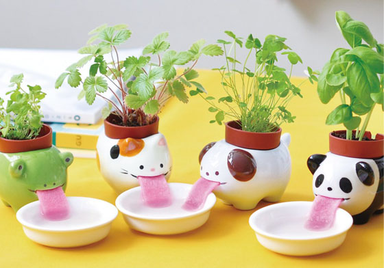 辦公室療癒小物再進化！口渴會自己喝水的動物盆栽特蒐 辦公室、療癒、上班族、OL、工作