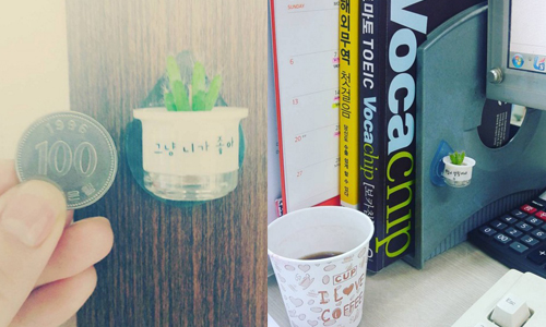 「今天也辛苦了！」 韓國迷你多肉盆栽風行辦公室 韓國、迷你多肉、硬幣大、可愛、療癒、辦公室、心意花盆、仙人掌