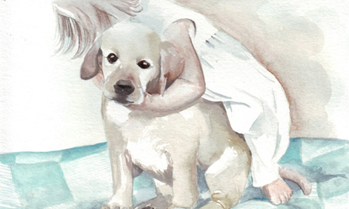 那些可能發生在身邊的暖心短篇故事 日本生活系療癒書特輯 東野圭吾、大山淳子、有川浩、阪急電車、解憂雜貨店