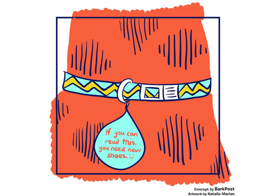 說出汪星人的暗黑真心話？令飼主崩潰的10張惡搞系狗牌插畫 寵物、惡搞、狗牌、反骨、插畫