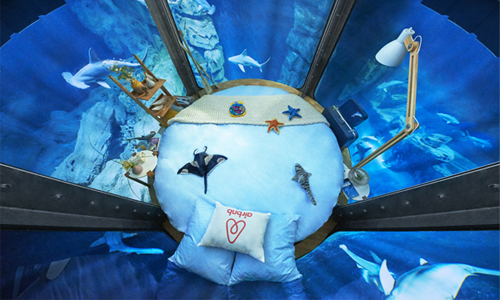 應該不會睡到一半被鯊魚吃掉吧？法國水族館邀你免費入住海底世界 鯊魚、法國、巴黎、水族館、海底世界