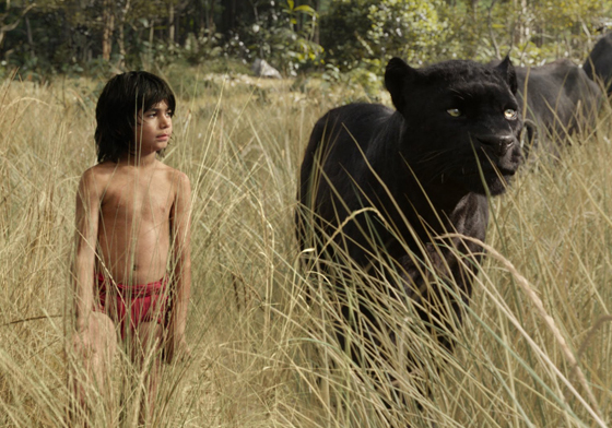 覺得自己人生「卡」住了？《與森林共舞》心測給你解答 與森林共舞、心測、動物、腳色、迪士尼