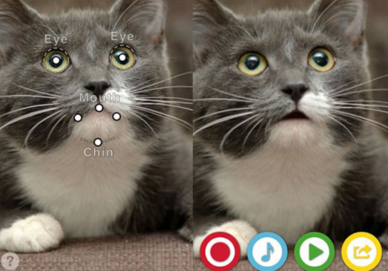 4/22限時免費App特輯：寵奴請服用！可與萌寵對話的特效App 限免、免費、特價、iPhone、App