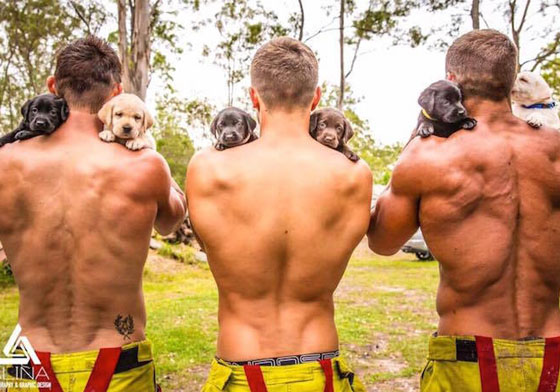 一邊是萌寵，一邊是鮮肉… 2017《澳洲消防員月曆》叫人視線左右為難 澳洲消防員月曆、萌寵、鮮肉、猛男、公益、澳洲兒童醫院、2017