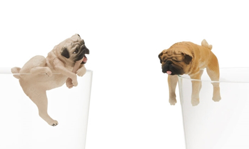 這表情也太欠揍了吧？8款超白目的巴哥犬杯緣子開賣啦！ putitto、巴哥犬、杯緣子、パグ