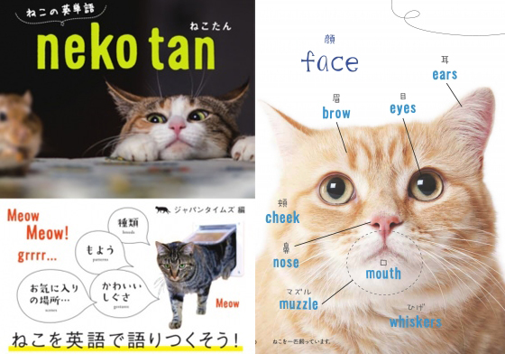 貓奴學英文的法寶就是它！讓學習不再痛苦的「貓咪的英語單字」大全 ねこたん ねこの英単語、貓咪的英語單字、語言、學習、英文、日語、貓、貓咪、喵星人、單字、書、工具書、貓奴