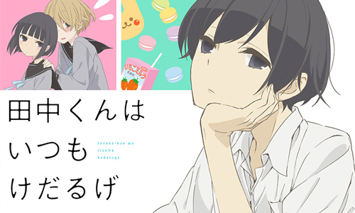 一天有八成時間都在睡覺可以嗎？人氣漫畫《田中君總是如此慵懶》開播啦！ 田中君總是如此慵懶、漫畫、日本、迷家、春季、太田